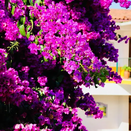 Costa Brava Benedita